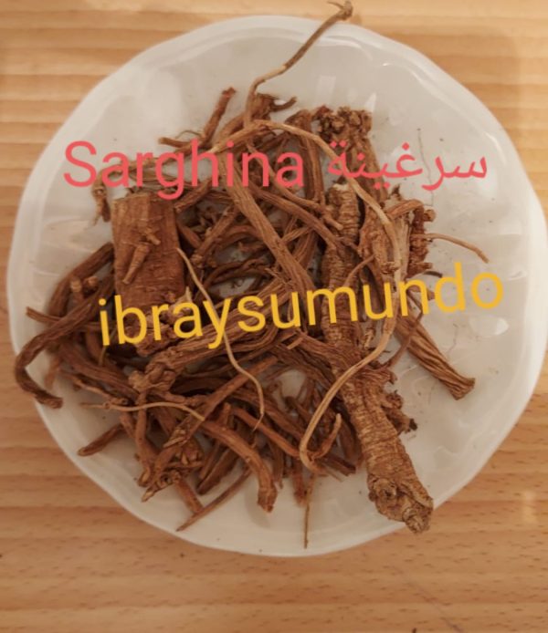 sarghina