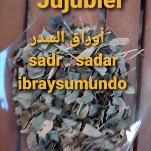 feuilles de jujubier