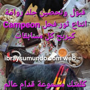 قبول  جلد روامة ثور فحل Koubol Toro Campeon