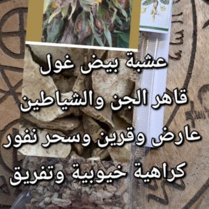 Baid عشبة بيض غول قاهر